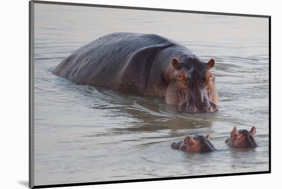 Class is in Session-Scott Bennion-Mounted Photo