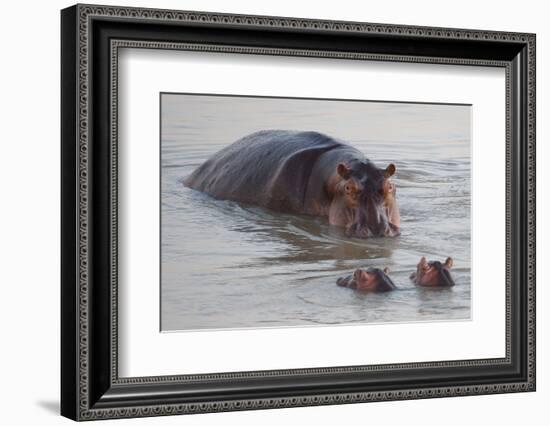 Class is in Session-Scott Bennion-Framed Photo