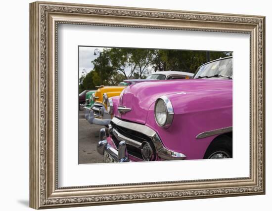 Classic 1950's car in Old Havana, Cuba.-Michele Niles-Framed Photographic Print