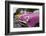 Classic 1950's car in Old Havana, Cuba.-Michele Niles-Framed Photographic Print