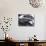 Classic American Automobile, Seattle, Washington, USA-William Sutton-Photographic Print displayed on a wall