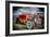 Classic American Automobile-David Challinor-Framed Photographic Print