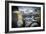 Classic American Automobile-David Challinor-Framed Photographic Print