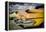 Classic American Automobile-David Challinor-Framed Premier Image Canvas