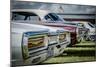 Classic American Automobile-David Challinor-Mounted Photographic Print