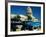 Classic American Taxi Cars Parked in Front of National Capital Building, Havana, Cuba-Martin Lladó-Framed Photographic Print