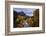 Classic Autumn View Zion National Park, Utah-Vincent James-Framed Photographic Print