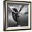 Classic Aviation I-Chris Dunker-Framed Giclee Print