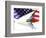 Classic Cadillac and American Flag-Bill Bachmann-Framed Photographic Print