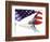 Classic Cadillac and American Flag-Bill Bachmann-Framed Photographic Print