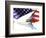 Classic Cadillac and American Flag-Bill Bachmann-Framed Photographic Print