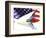 Classic Cadillac and American Flag-Bill Bachmann-Framed Photographic Print