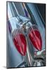 Classic car, Cadillac taillight, New Smyrna Beach, Florida, USA-Lisa Engelbrecht-Mounted Photographic Print