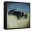 Classic Car III II-Sydney Edmunds-Framed Premier Image Canvas