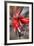 Classic Car-Nathan Wright-Framed Photographic Print