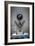 Classic Car-Nathan Wright-Framed Photographic Print