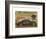 Classic Cars 2-Carlos Casamayor-Framed Art Print