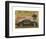Classic Cars 2-Carlos Casamayor-Framed Art Print