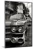 Classic Cars of Miami Beach-Philippe Hugonnard-Mounted Photographic Print