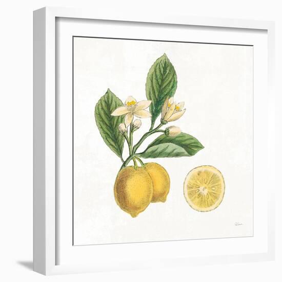 Classic Citrus I-Sue Schlabach-Framed Art Print