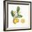 Classic Citrus I-Sue Schlabach-Framed Art Print