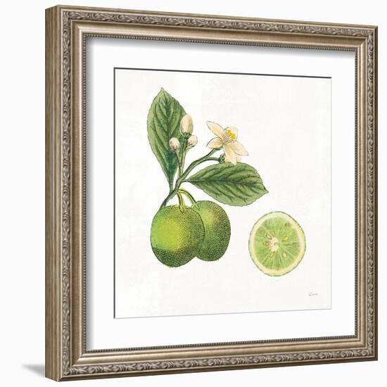 Classic Citrus III-Sue Schlabach-Framed Art Print