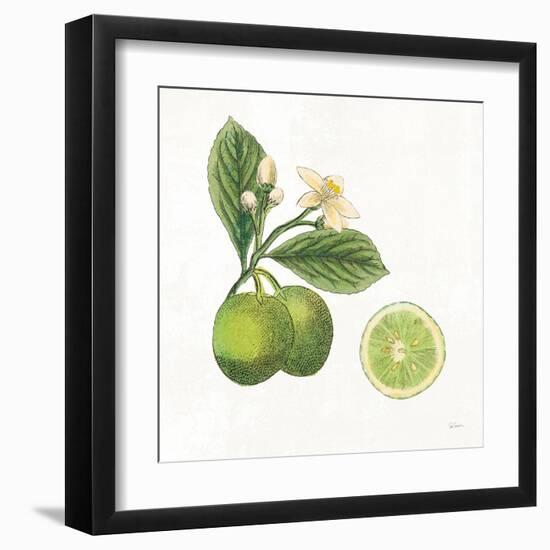 Classic Citrus III-Sue Schlabach-Framed Art Print