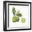 Classic Citrus III-Sue Schlabach-Framed Art Print