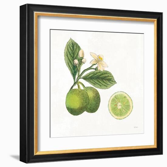 Classic Citrus III-Sue Schlabach-Framed Art Print