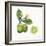 Classic Citrus III-Sue Schlabach-Framed Art Print