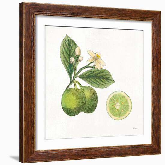 Classic Citrus III-Sue Schlabach-Framed Art Print