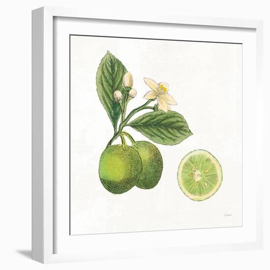 Classic Citrus III-Sue Schlabach-Framed Art Print