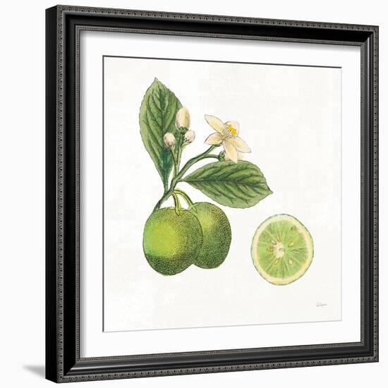 Classic Citrus III-Sue Schlabach-Framed Art Print