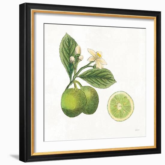 Classic Citrus III-Sue Schlabach-Framed Art Print