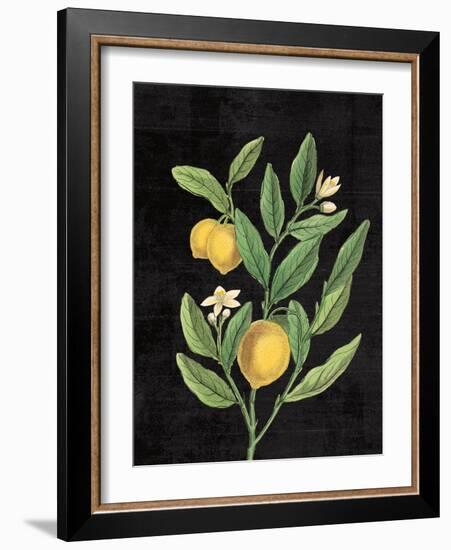 Classic Citrus V Black No Words-Sue Schlabach-Framed Art Print