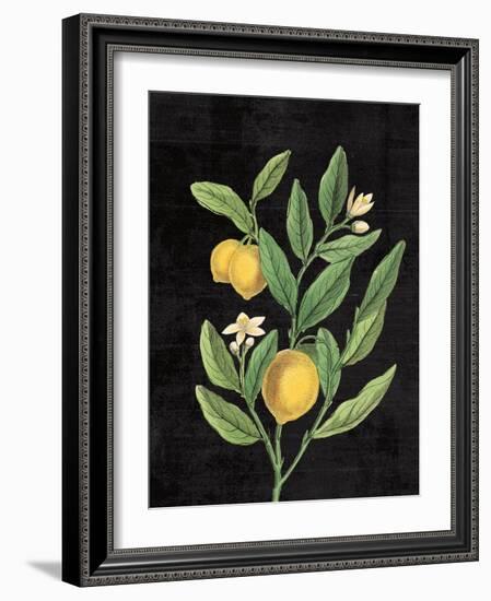 Classic Citrus V Black No Words-Sue Schlabach-Framed Art Print