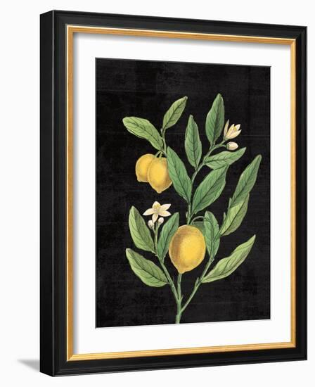 Classic Citrus V Black No Words-Sue Schlabach-Framed Art Print