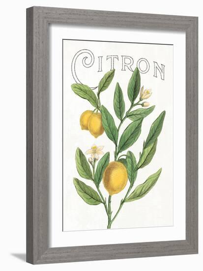 Classic Citrus V v2-Sue Schlabach-Framed Art Print