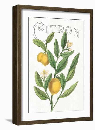 Classic Citrus V v2-Sue Schlabach-Framed Art Print