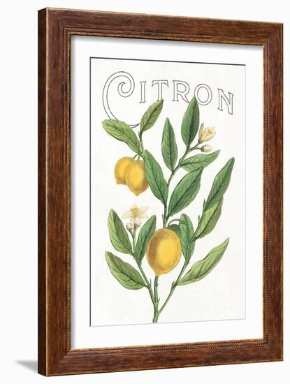 Classic Citrus V v2-Sue Schlabach-Framed Art Print