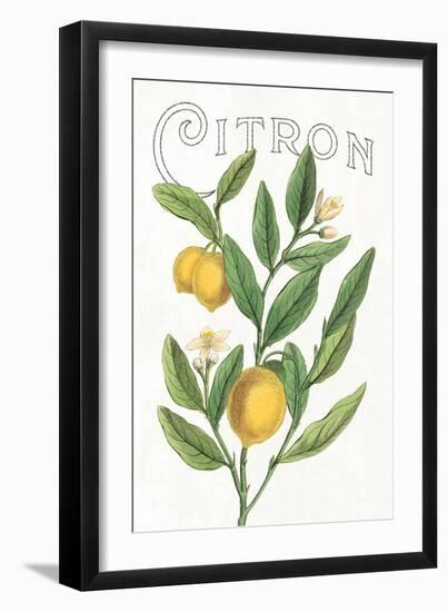 Classic Citrus V v2-Sue Schlabach-Framed Art Print