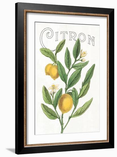 Classic Citrus V v2-Sue Schlabach-Framed Art Print