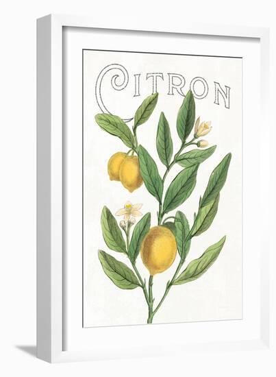 Classic Citrus V v2-Sue Schlabach-Framed Art Print