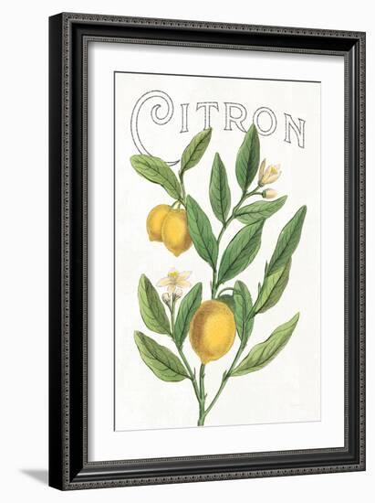 Classic Citrus V v2-Sue Schlabach-Framed Art Print