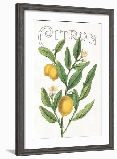 Classic Citrus V v2-Sue Schlabach-Framed Art Print