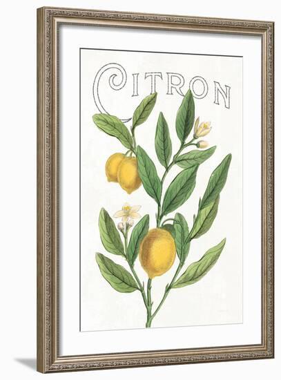 Classic Citrus V v2-Sue Schlabach-Framed Art Print