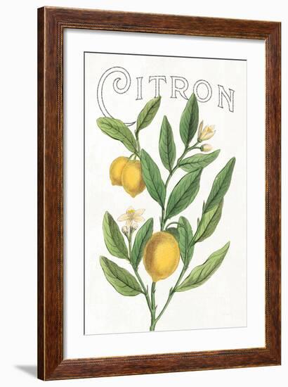 Classic Citrus V v2-Sue Schlabach-Framed Art Print