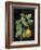 Classic Citrus VI Black No Words-Sue Schlabach-Framed Art Print