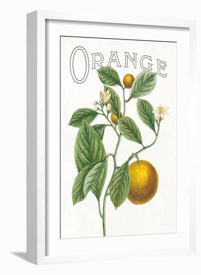 Classic Citrus VI v2-Sue Schlabach-Framed Art Print