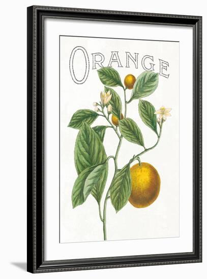 Classic Citrus VI v2-Sue Schlabach-Framed Art Print